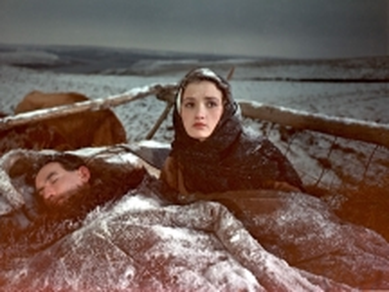 Foto 24 de Don Silencioso