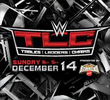 WWE TLC and Stairs - 2014