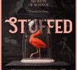 Stuffed