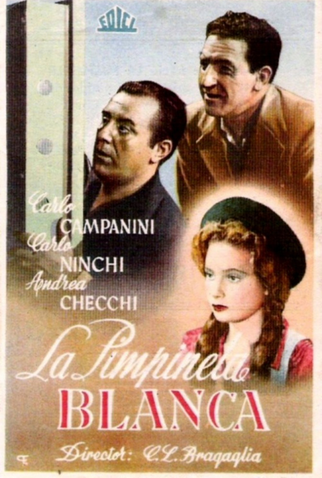 Poster 1 de Filme La Primula Bianca  (1948)