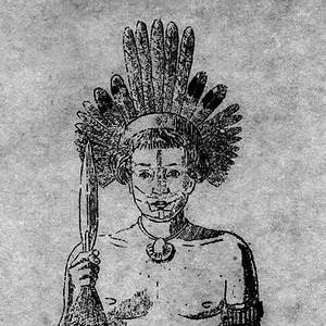 Foto de perfil de Tela Tropical