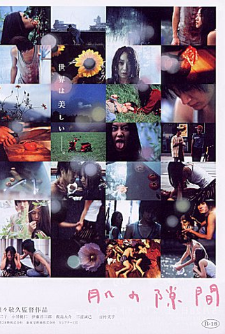 Poster 1 de Filme A Gap in the Skin (2005)