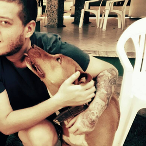 Foto de perfil de Lucas