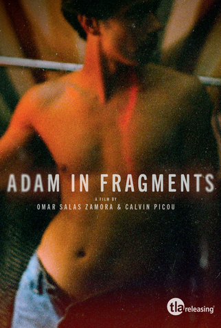 Poster 1 de Filme Adam in Fragments (2022)