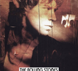 Rolling Stones - Voodoo In Buenos Aires 1995