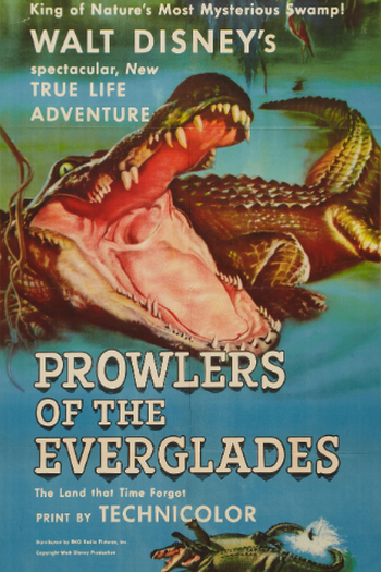 Poster de Filme Os Predadores de Everglades (1953)