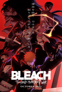 Bleach (17ª Temporada) - Poster / Capa / Cartaz - Oficial 1