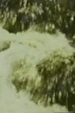 Song 3: Fire and a Mind’s Movement in Remembering (Song 3: Fire and a Mind’s Movement in Remembering)