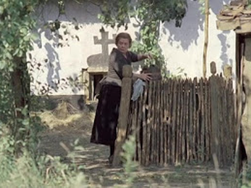 Foto 9 de De loteling