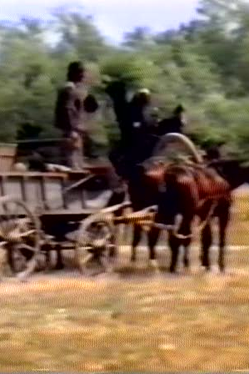 Poster de Filme The Willow Tree (1984)