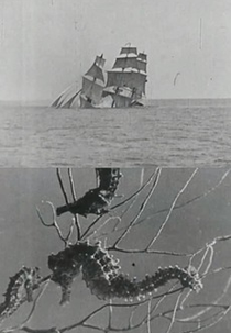 Jack's Dream (Jack's Dream)