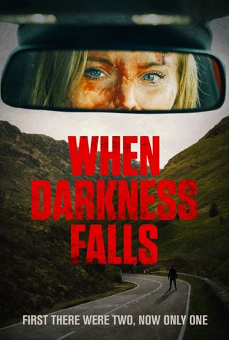 Poster 1 de Filme When Darkness Falls (2022)