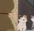 Kitty Cat Day