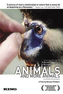 Um Animal, Os Animais - Poster / Capa / Cartaz - Oficial 1