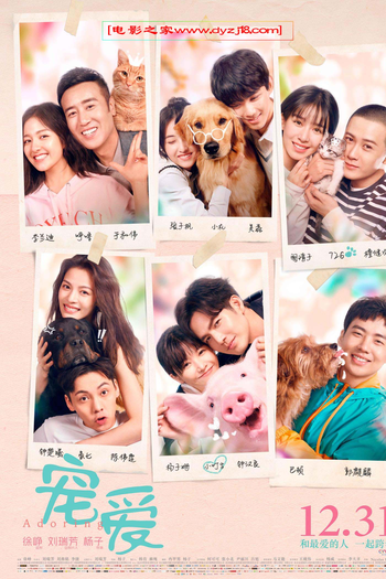  de Filme Adoring (2019)