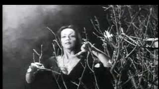 Trailer: plan 9 from outer space (trailer)
