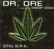 Dr. Dre Feat. Snoop Dogg: Still D.R.E