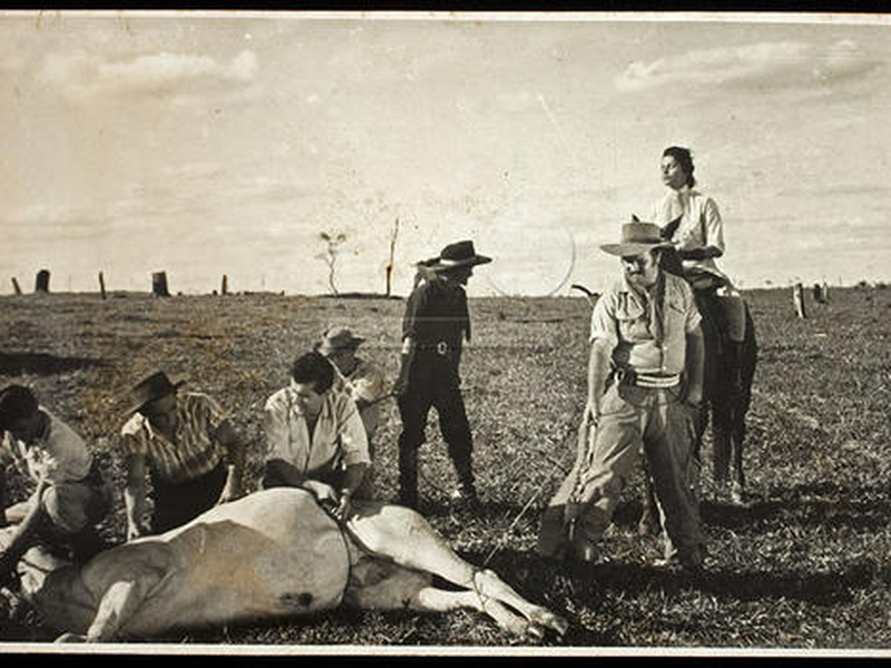 Foto 3 de Homens sem Paz