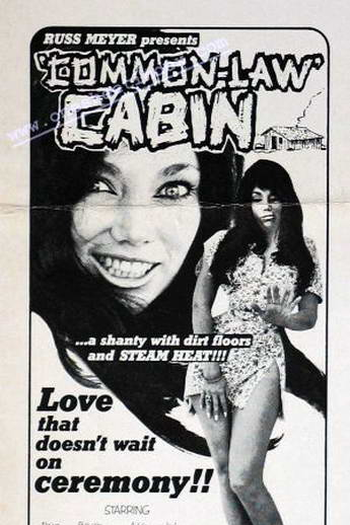 Poster de Filme Common Law Cabin (1967)