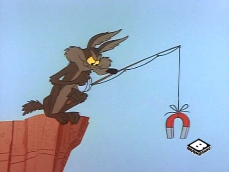 Foto 2 de Coyote Expresso