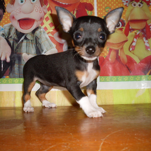 Foto de perfil de Beatriz Berenice