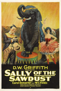 Sally, a Filha do Circo - Poster / Capa / Cartaz - Oficial 1