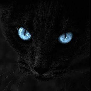 Foto de perfil de Raquel