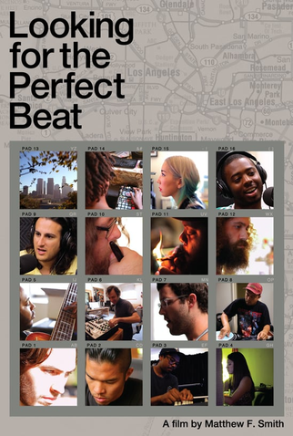 Poster 1 de Filme Looking for the Perfect Beat (2013)