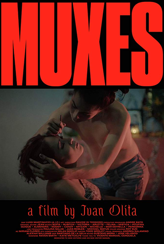 Poster 1 de Curta Muxes (2016)