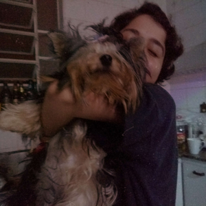 Foto de perfil de Marcela