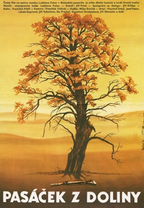 Pastorzinho do Vale (Pasácek z doliny)