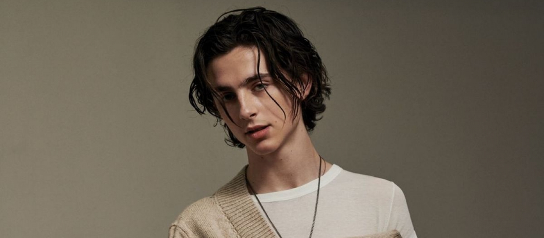 Timothée Chalamet - Foto 6