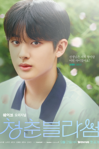  de Série Seasons of Blossom (2022)