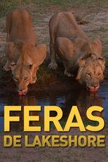 Feras de Lakeshore (Feras de Lakeshore)