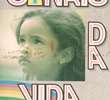 Os 7 Sinais da Vida