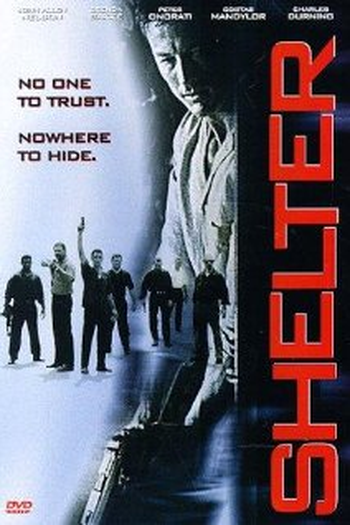Poster de Filme O Protetor  (1998)