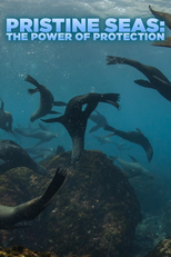 Mares Intocados: O Poder da Proteção (Pristine Seas: The Power of Protection)