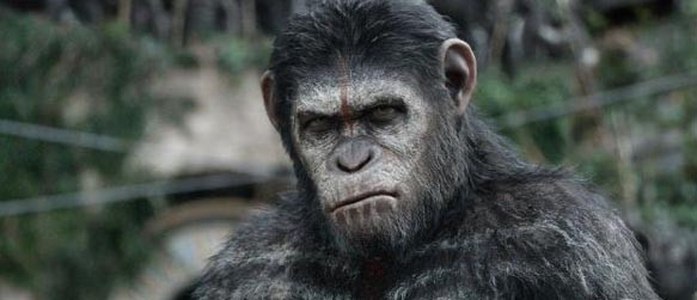 Cinema: Planeta dos Macacos - O Confronto