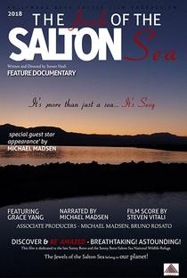 The Jewels of the Salton Sea - Poster / Capa / Cartaz - Oficial 1