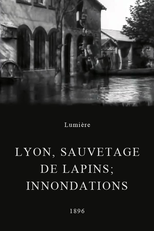 Lyon, sauvetage de lapins; innondations (Lyon, sauvetage de lapins; innondations)