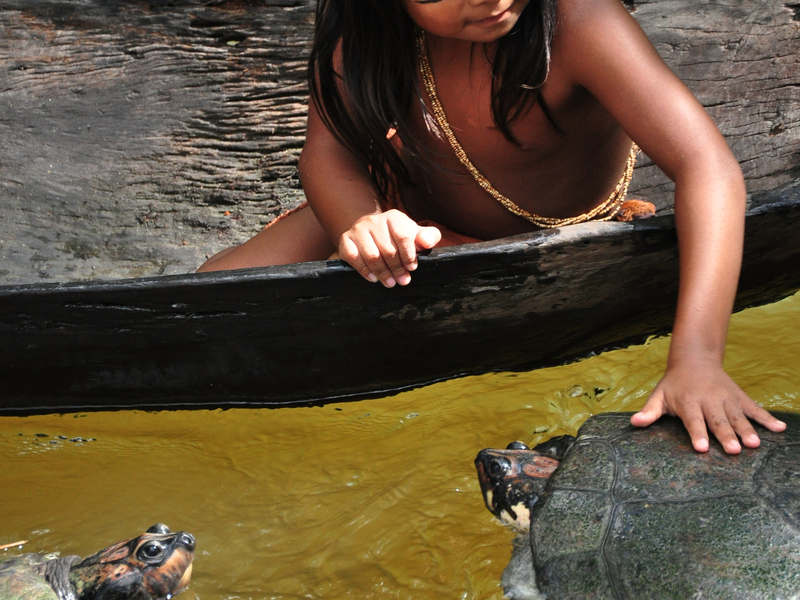 Foto 2 de Tainá - A Origem