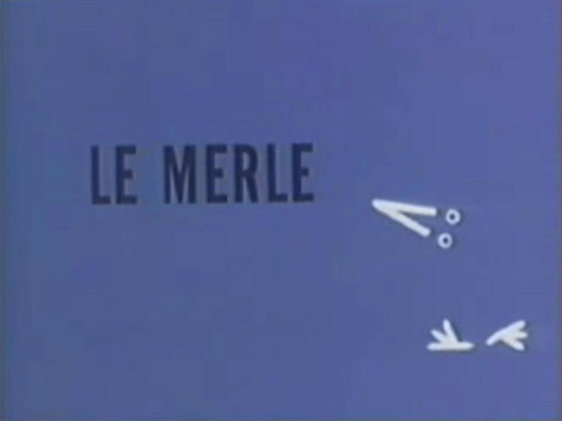 Foto 1 de The Blackbird