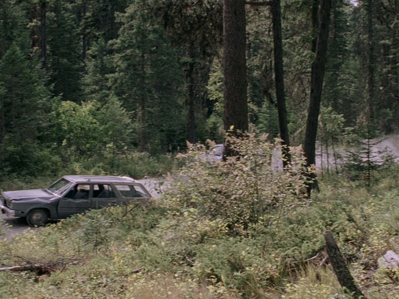 Foto 7 de The Sighting