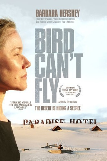 Poster de Filme O Pássaro Não Pode Voar (2007)