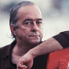 Vinicius de Moraes - Foto 6