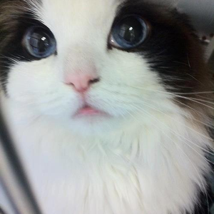 Foto de perfil de Renata