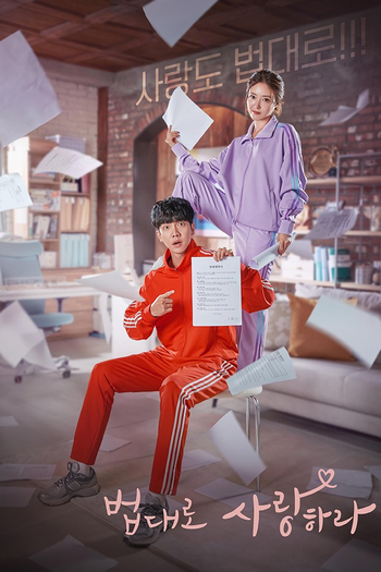 Poster de Franquia 법대로 사랑하라 (2022)
