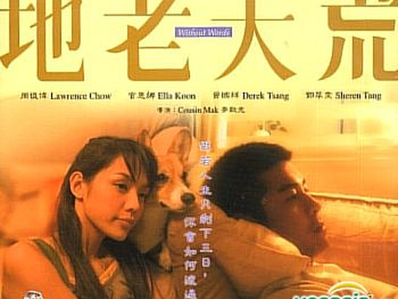 Foto 1 de Without Words