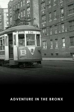 Adventure in the Bronx (Adventure in the Bronx)