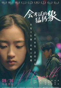 Mammoth (会考试的猛犸象)